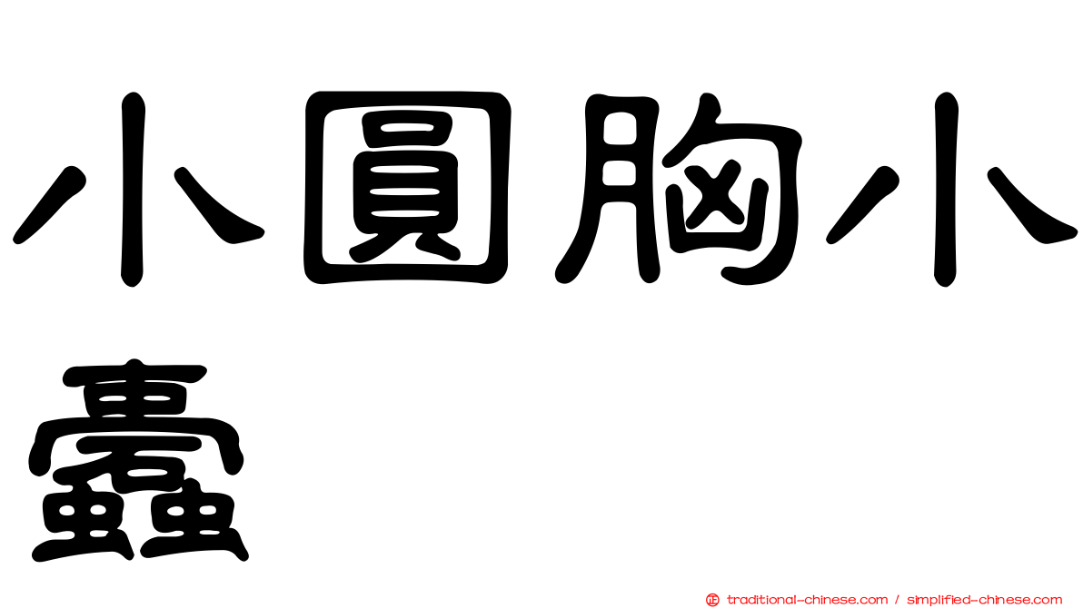 小圓胸小蠹