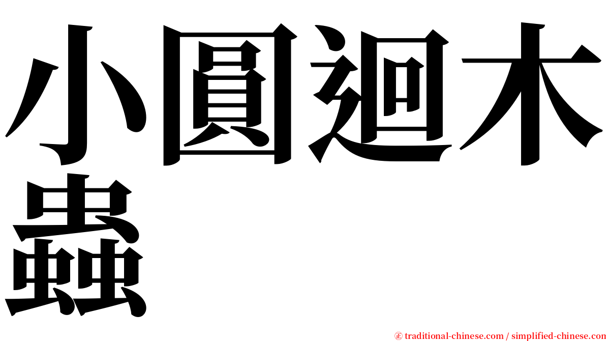 小圓迴木蟲 serif font