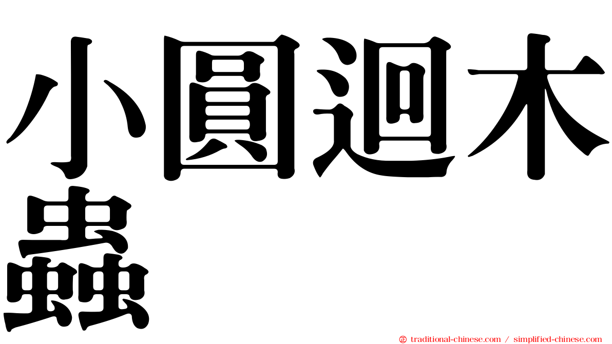 小圓迴木蟲