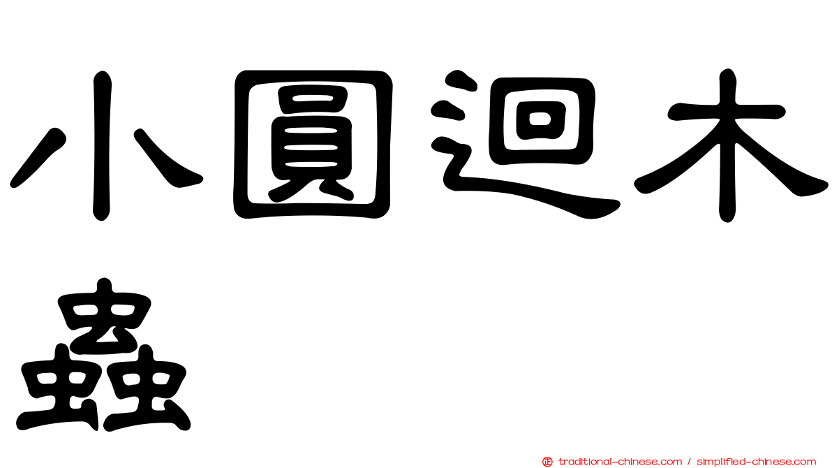 小圓迴木蟲