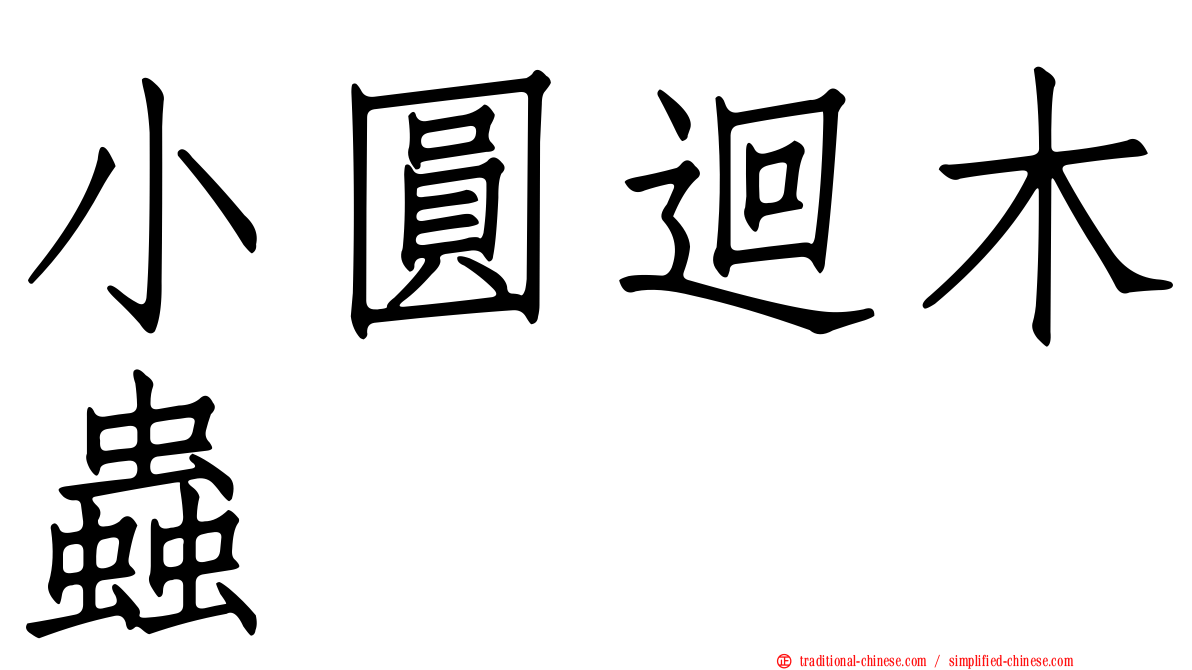 小圓迴木蟲