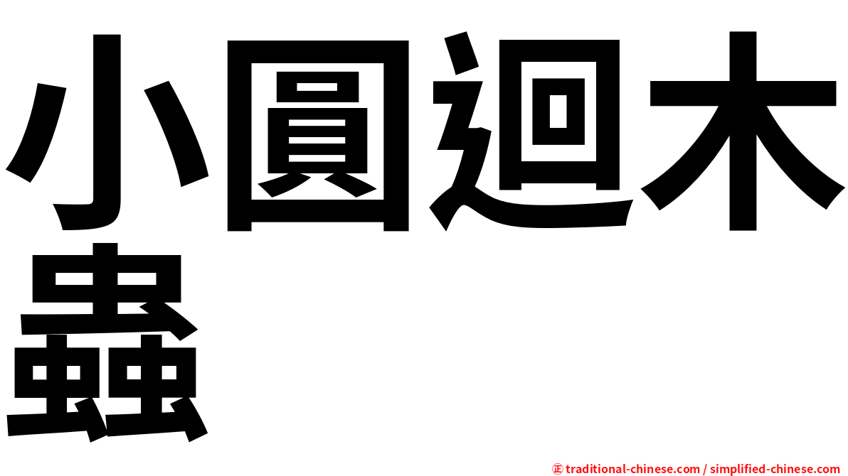 小圓迴木蟲