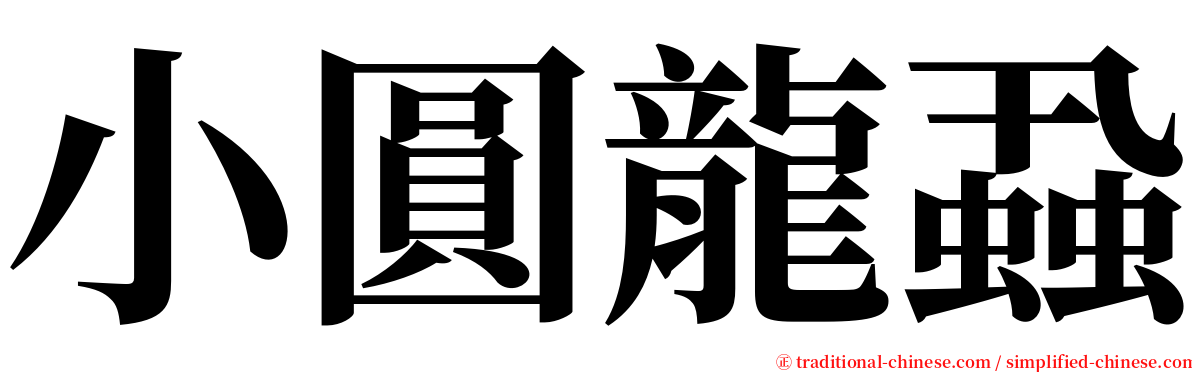 小圓龍蝨 serif font