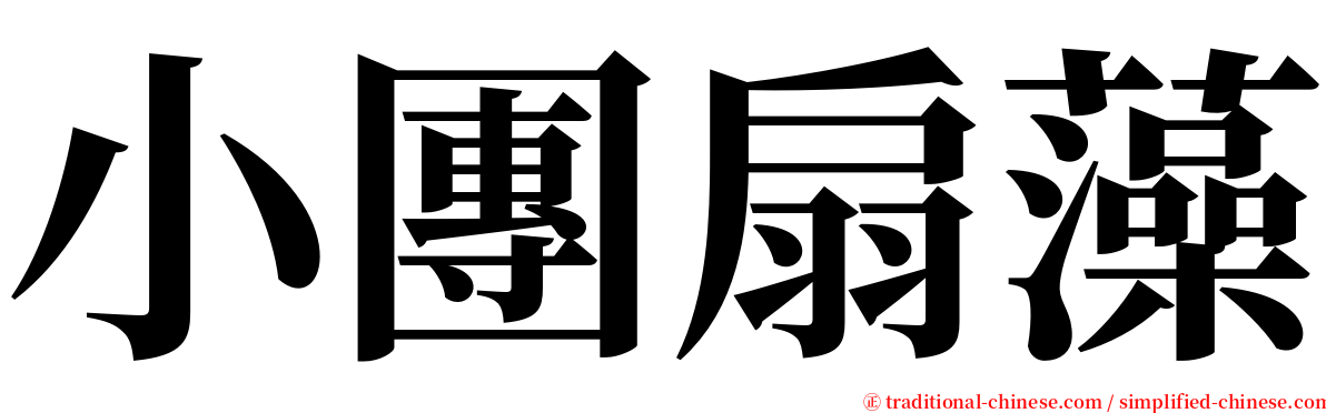 小團扇藻 serif font