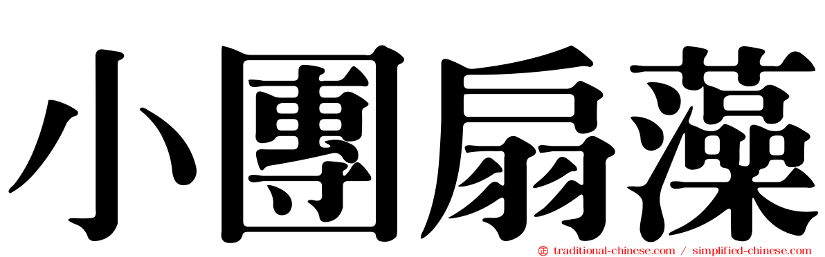 小團扇藻
