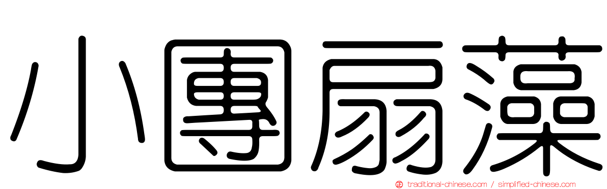小團扇藻