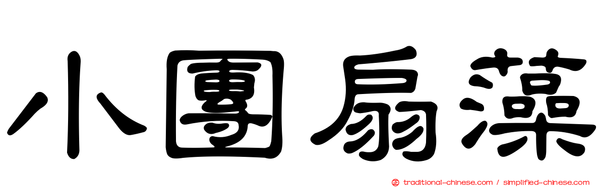 小團扇藻