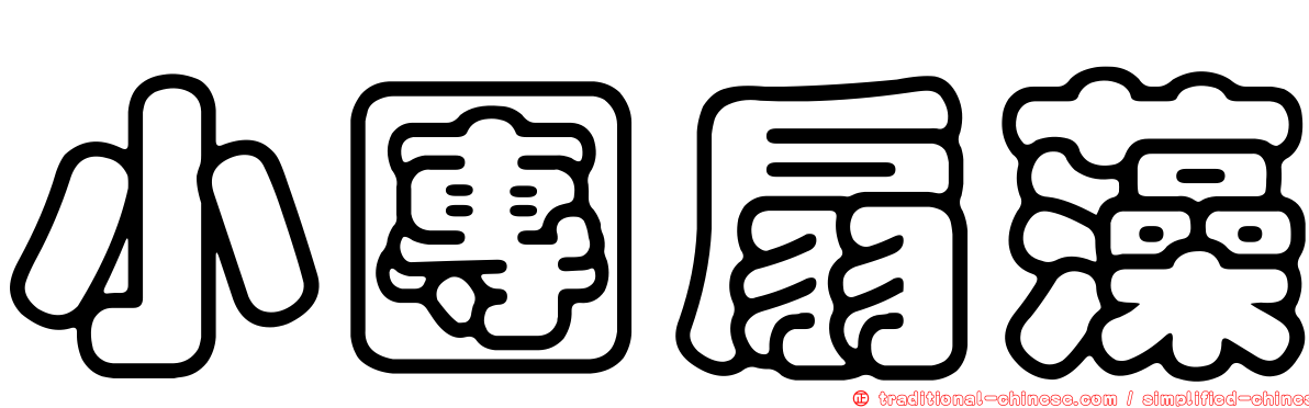 小團扇藻