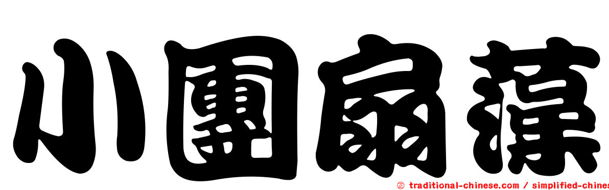 小團扇藻