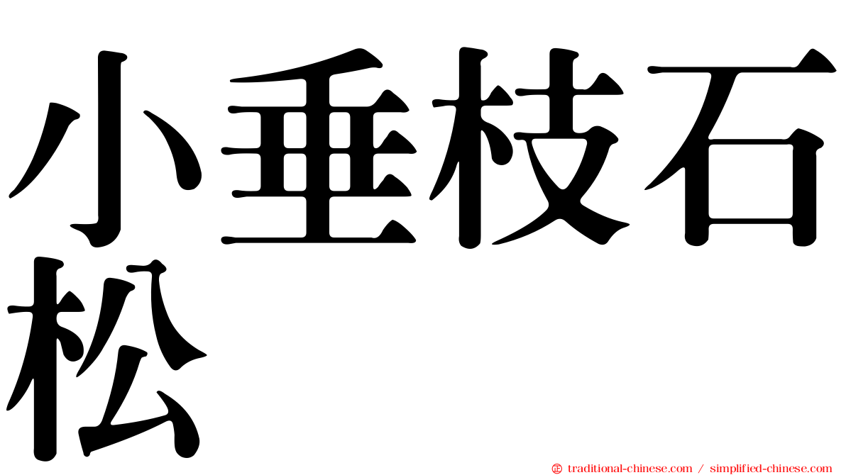 小垂枝石松