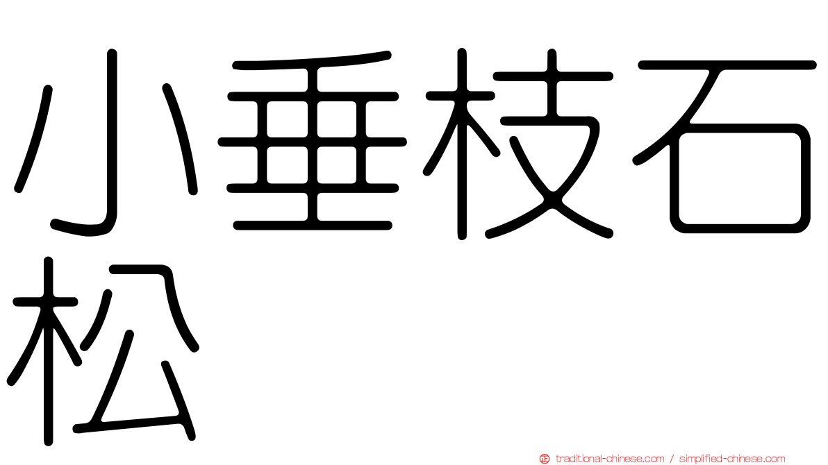 小垂枝石松