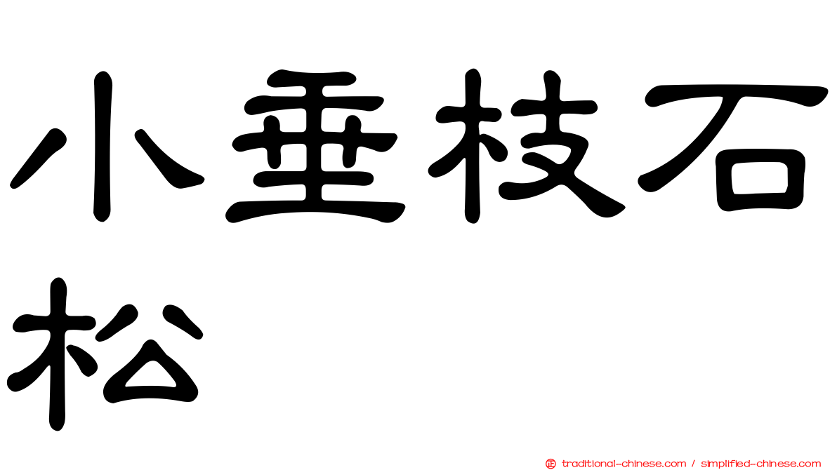 小垂枝石松