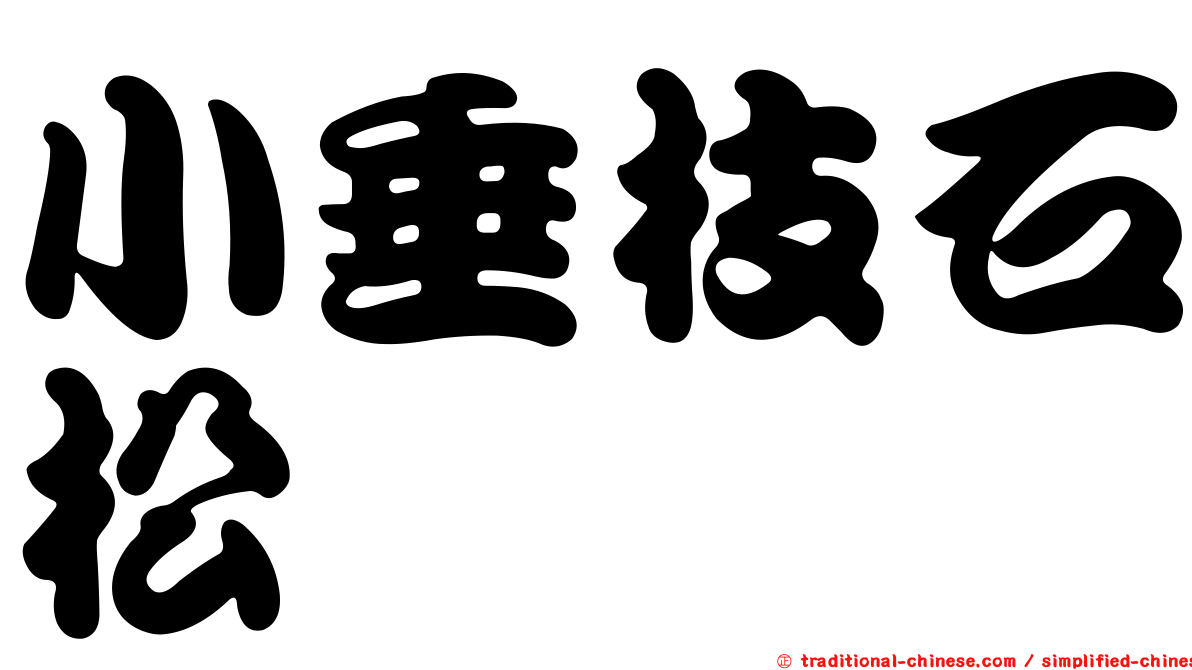 小垂枝石松