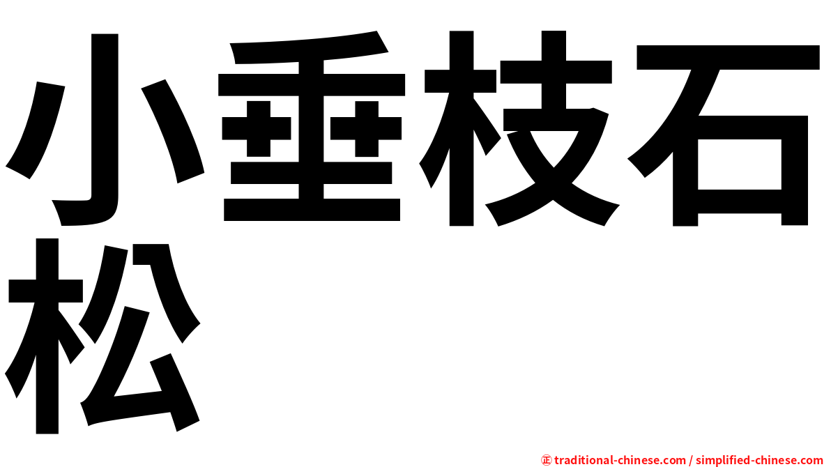 小垂枝石松