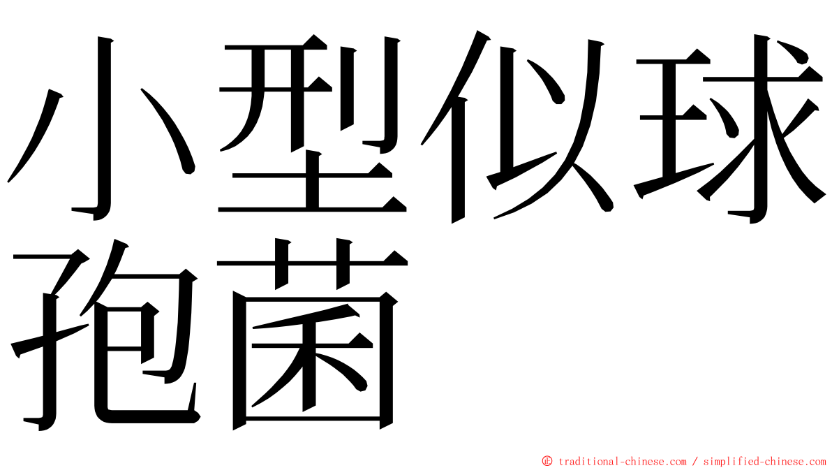小型似球孢菌 ming font
