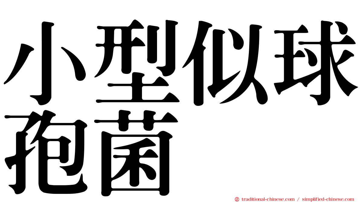 小型似球孢菌