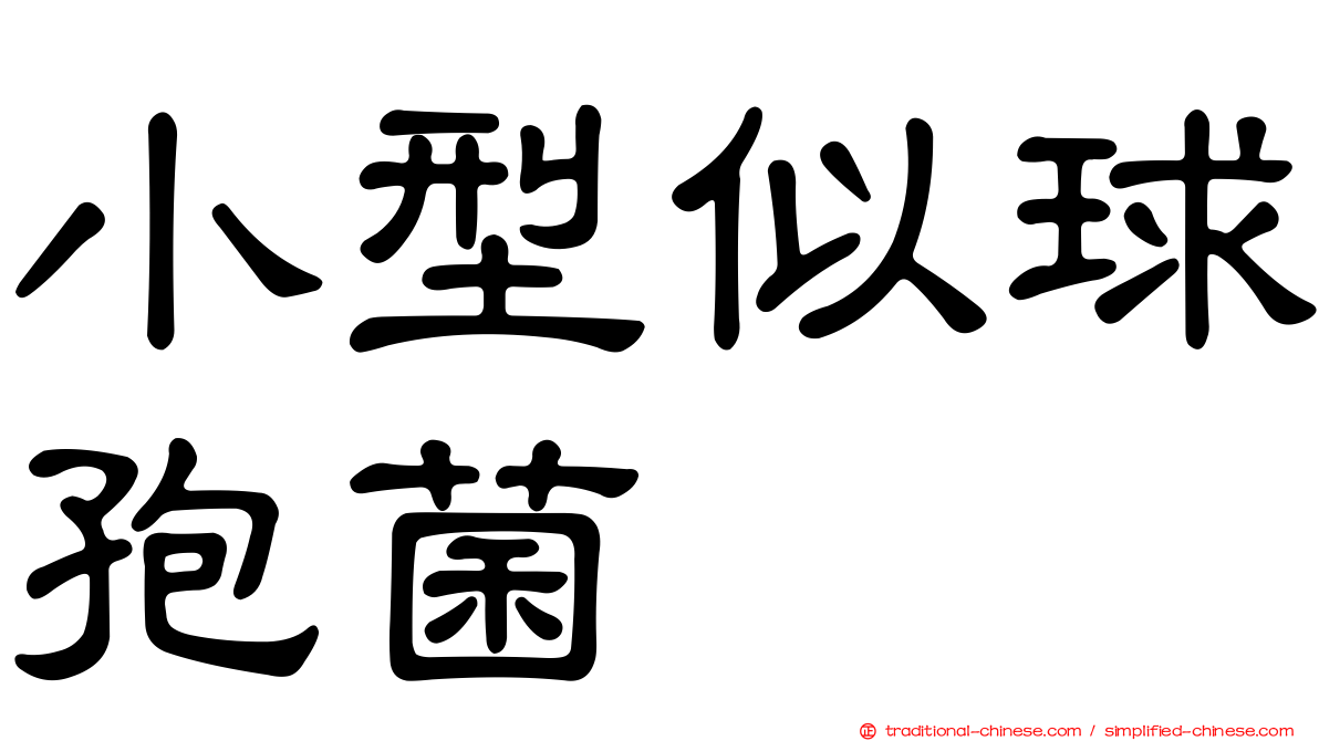 小型似球孢菌