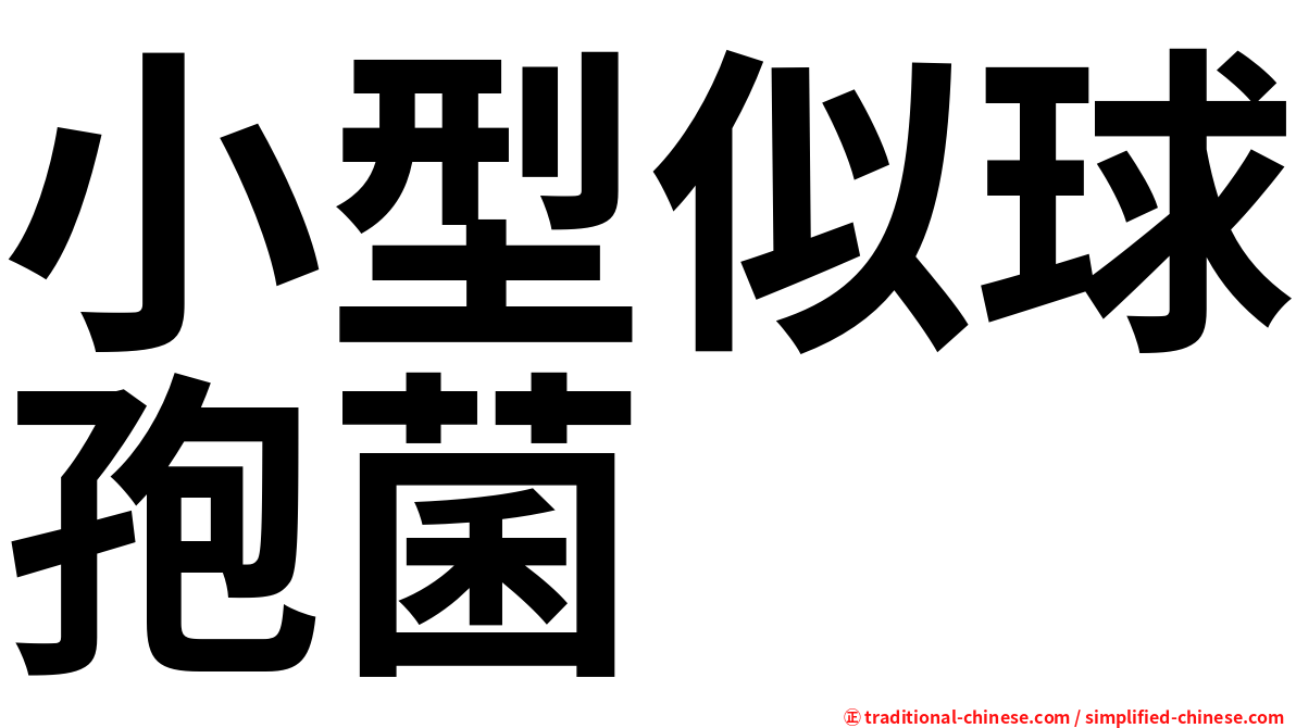 小型似球孢菌