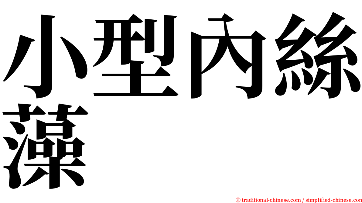 小型內絲藻 serif font