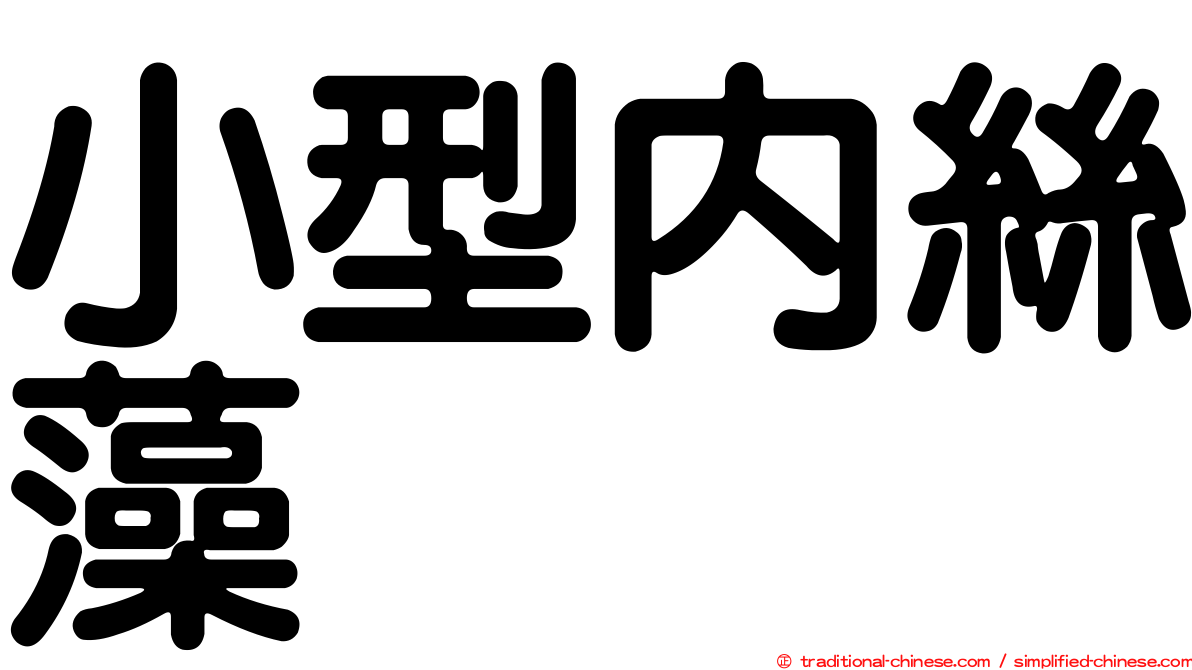 小型內絲藻
