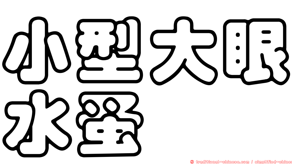 小型大眼水蚤