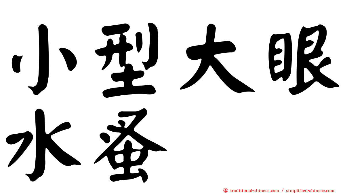 小型大眼水蚤