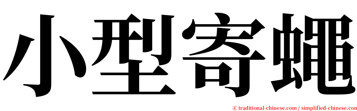 小型寄蠅 serif font
