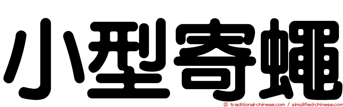 小型寄蠅