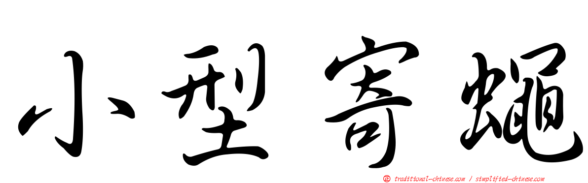 小型寄蠅