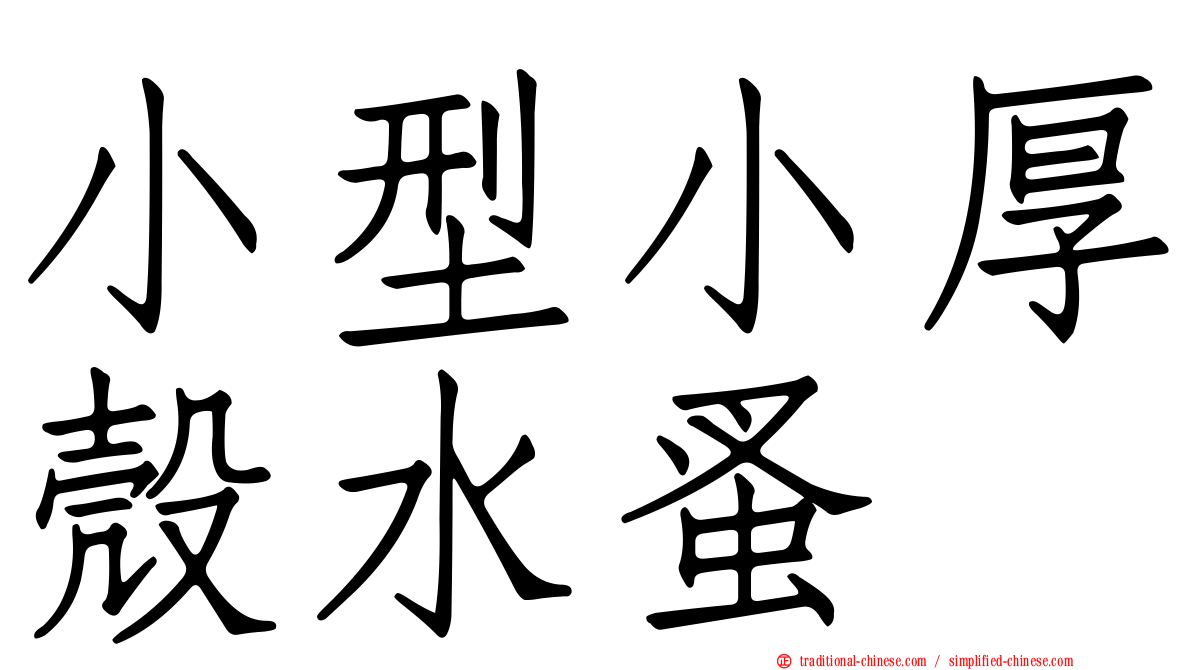 小型小厚殼水蚤