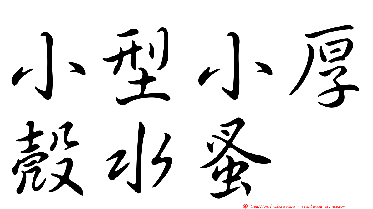 小型小厚殼水蚤