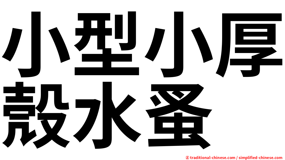 小型小厚殼水蚤