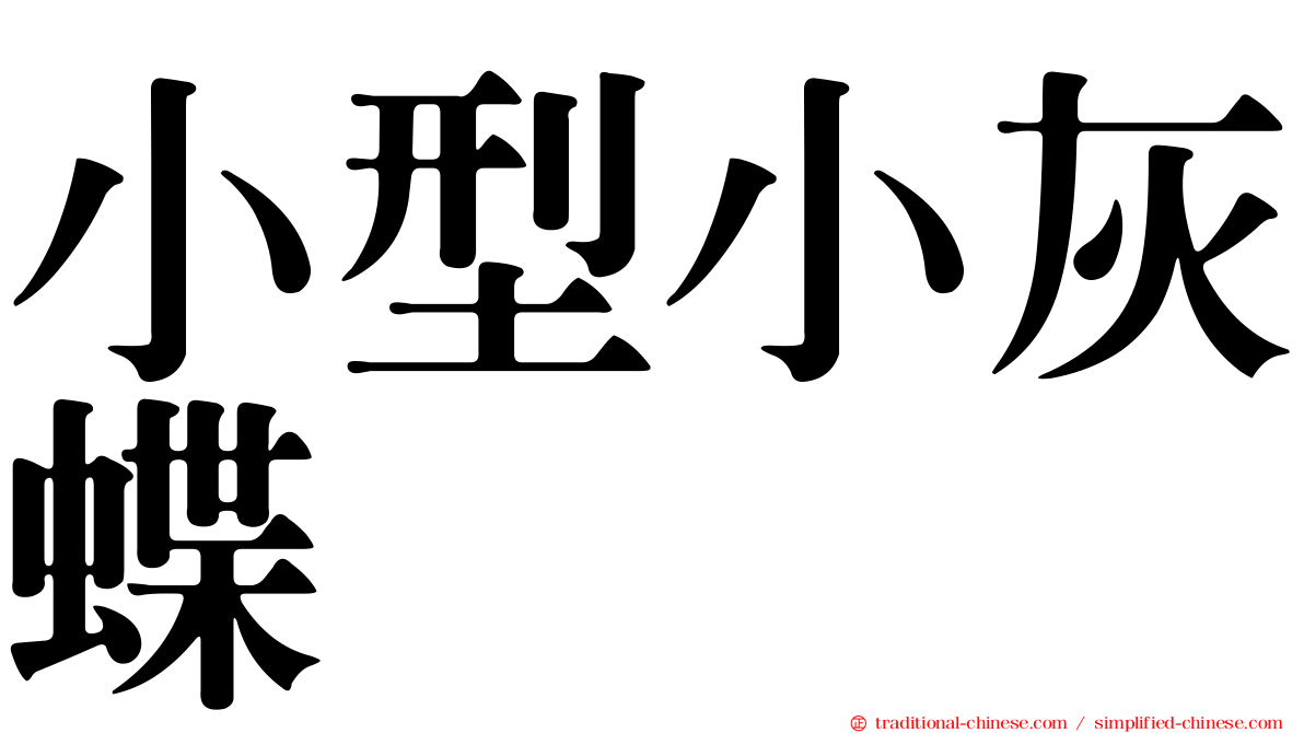 小型小灰蝶