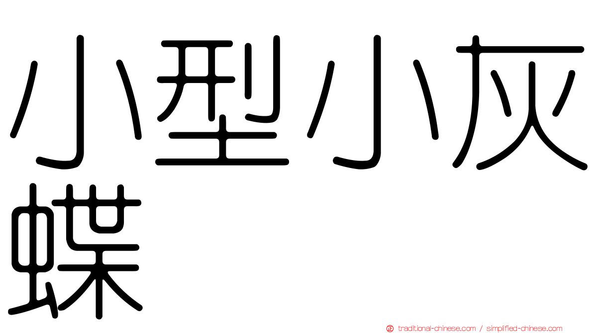 小型小灰蝶