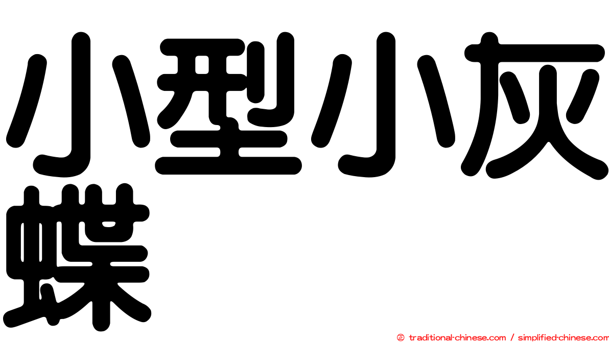 小型小灰蝶
