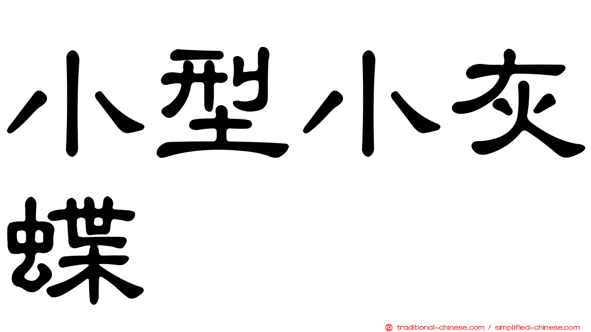 小型小灰蝶