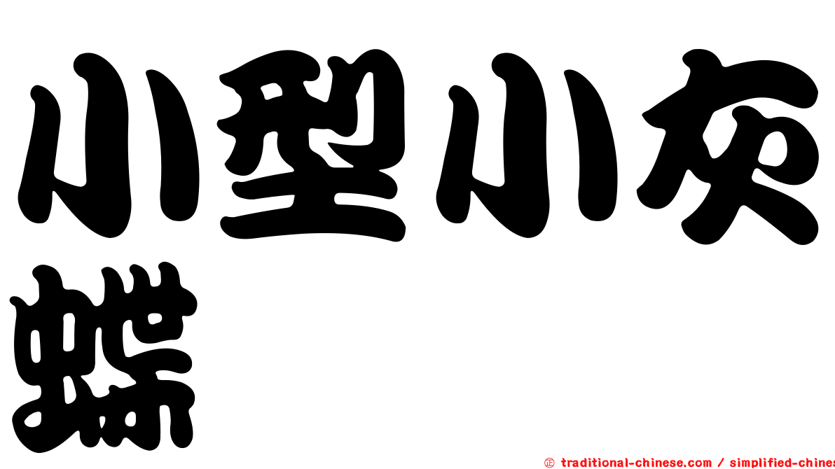 小型小灰蝶