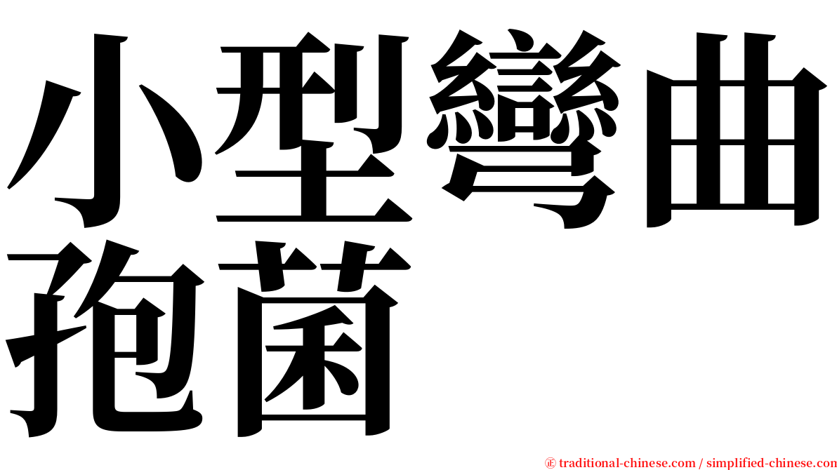 小型彎曲孢菌 serif font