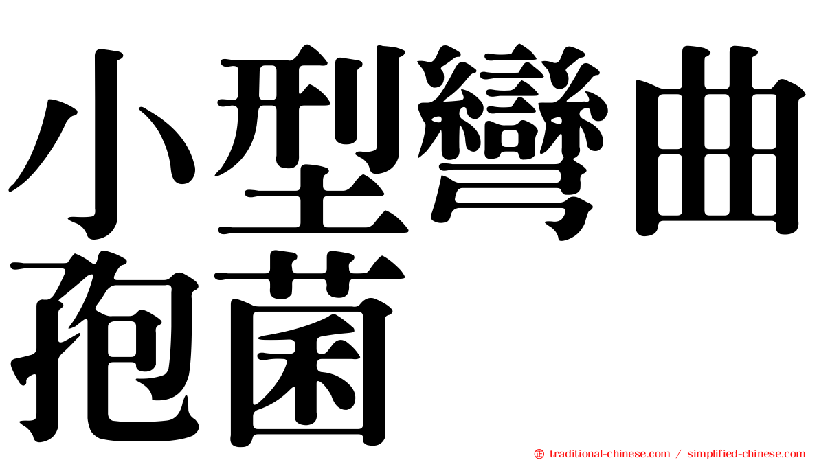 小型彎曲孢菌