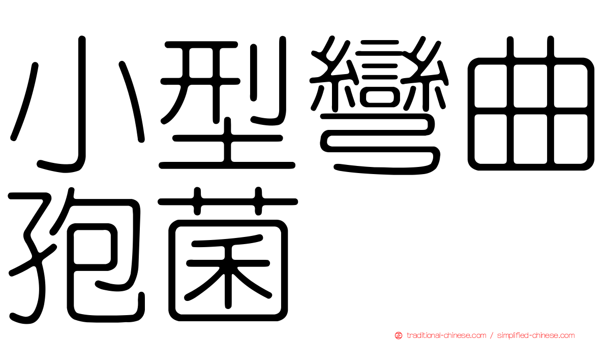 小型彎曲孢菌