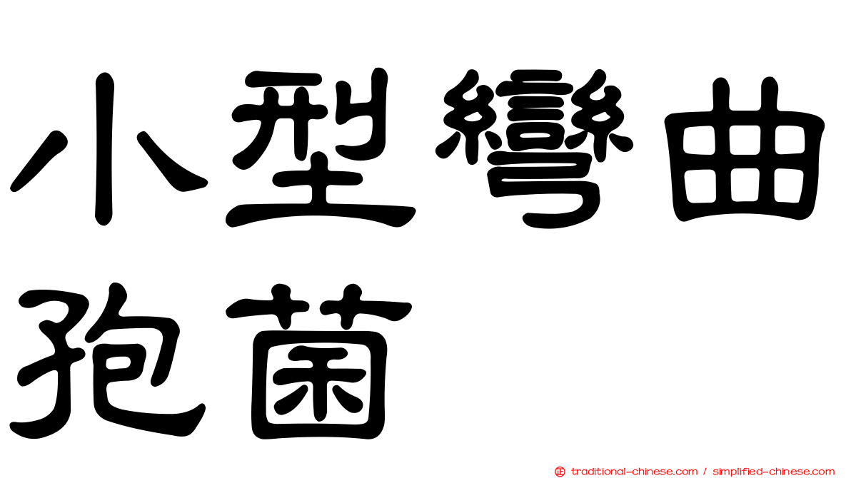 小型彎曲孢菌