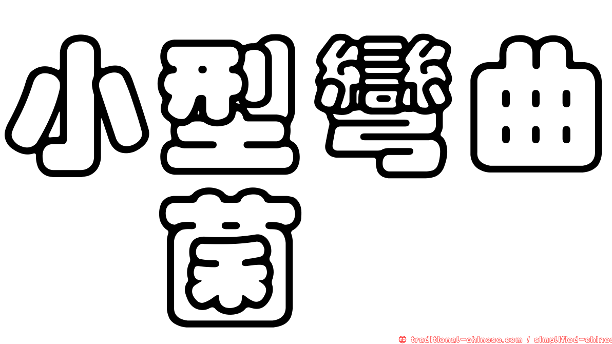 小型彎曲孢菌