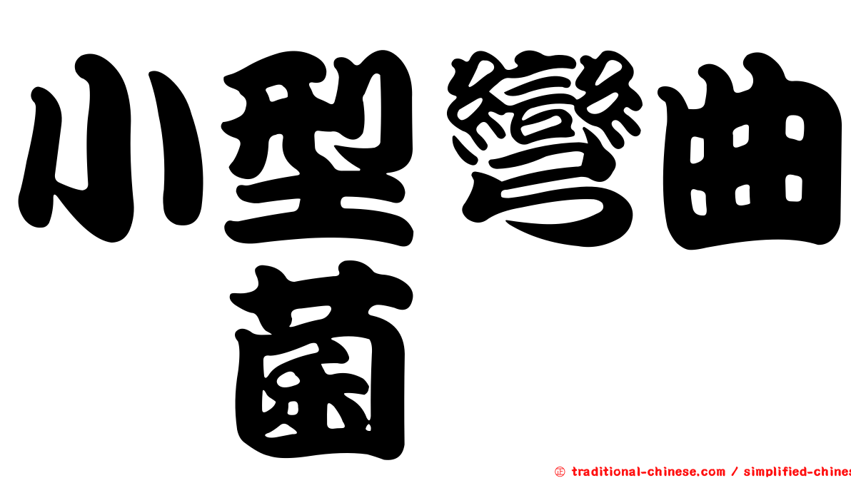小型彎曲孢菌