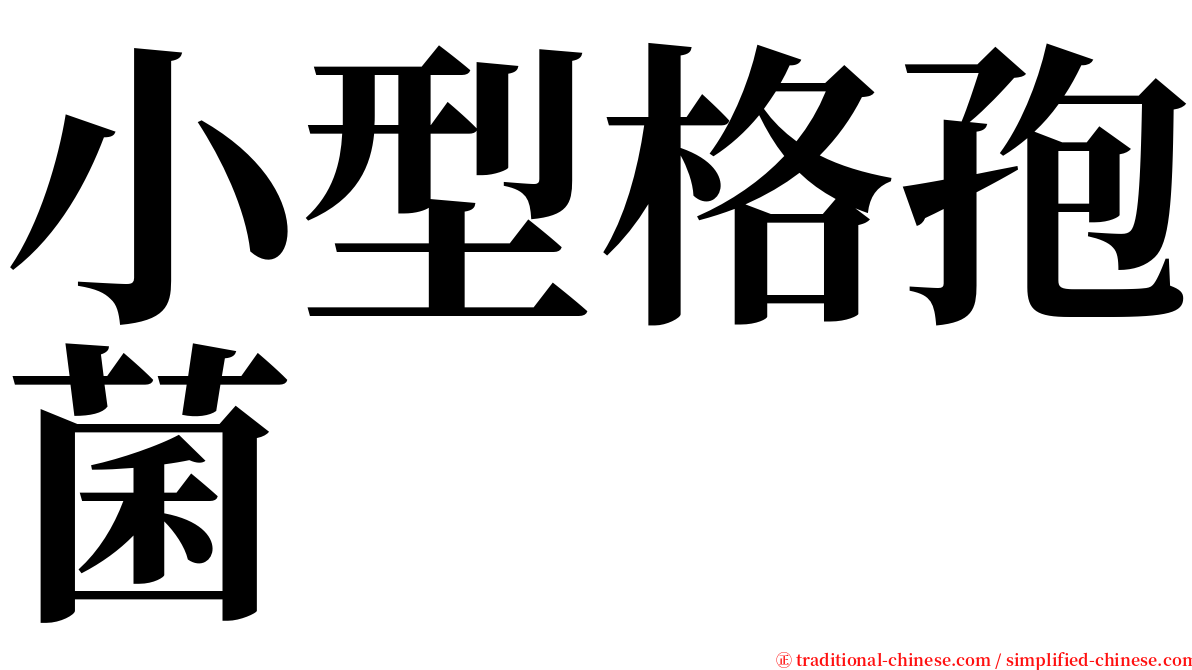 小型格孢菌 serif font