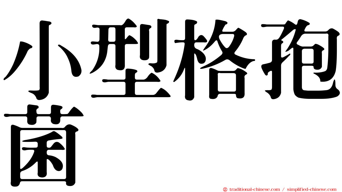 小型格孢菌