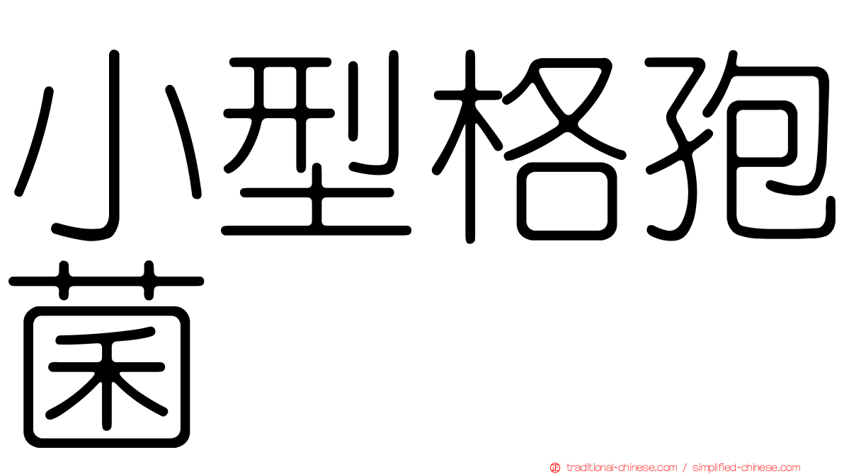 小型格孢菌