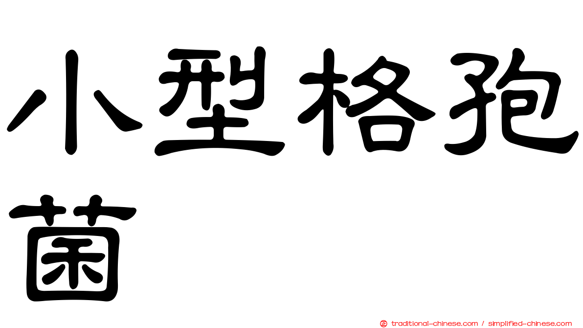 小型格孢菌
