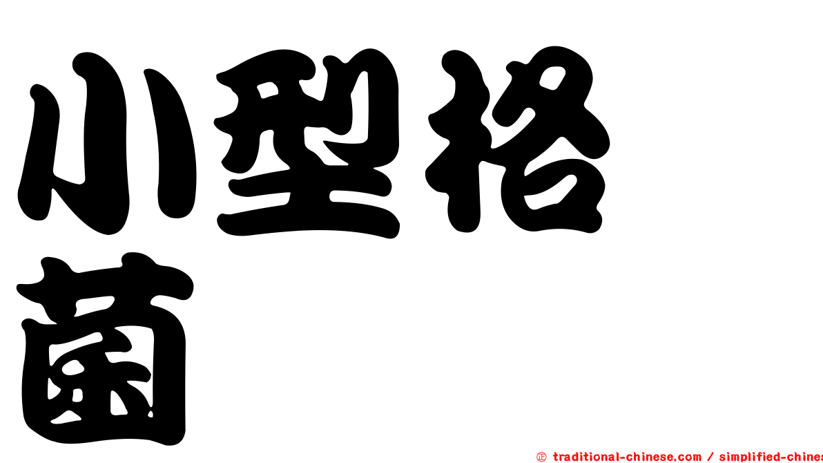 小型格孢菌