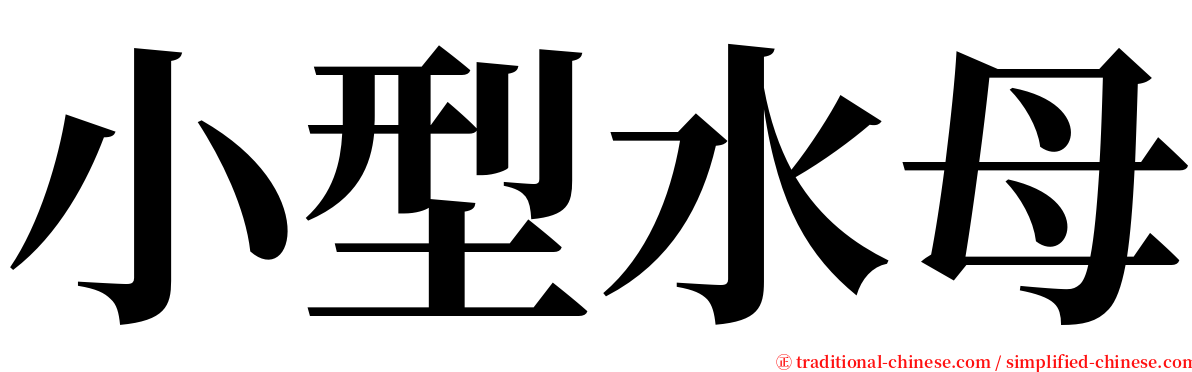 小型水母 serif font