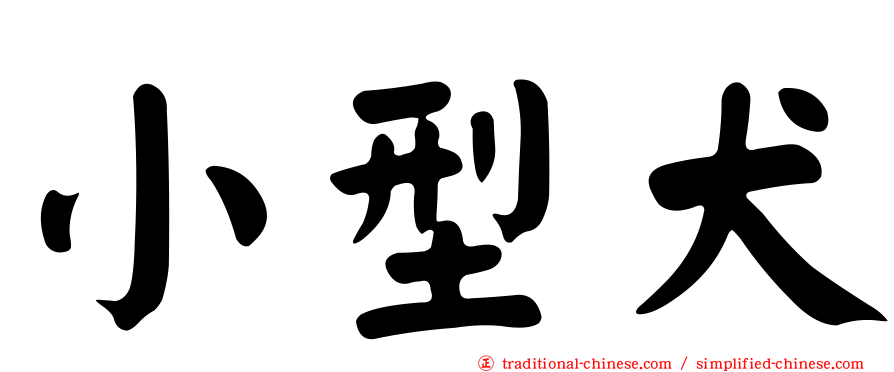 小型犬